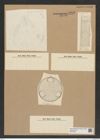 Diatomeae indet. Zeichnungen Sammlung Grunow Nr. 8236 (NHMW-BOT-W0377628)